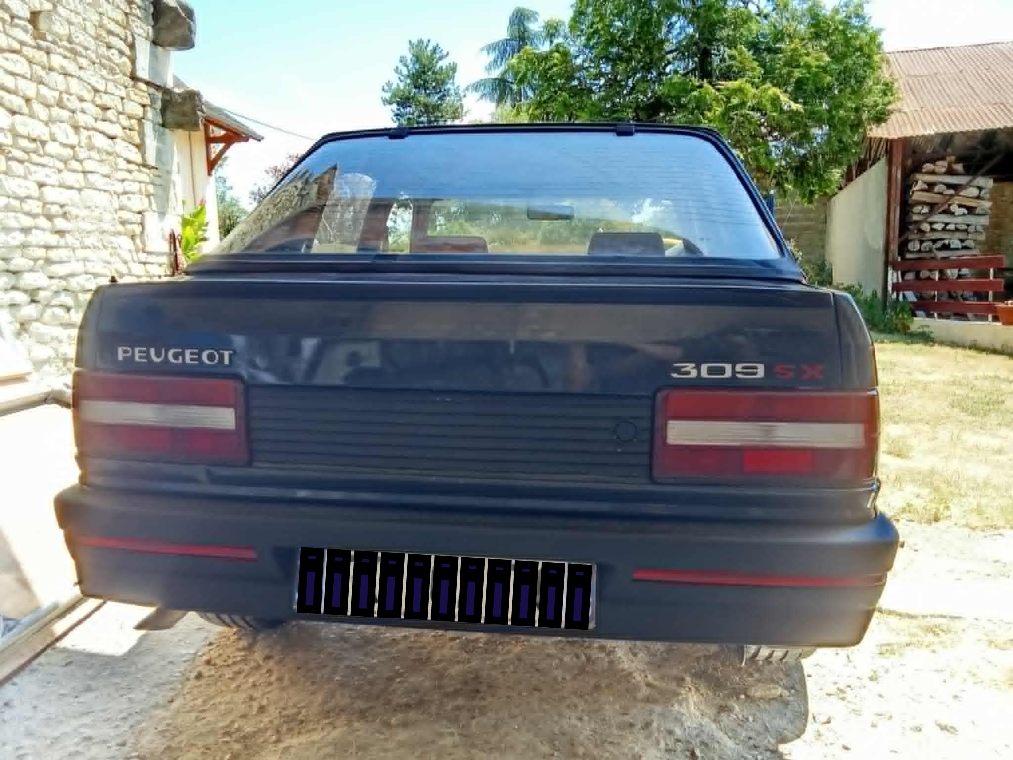 309 sx arr-001.jpg